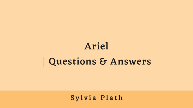 Ariel Questions and Answers