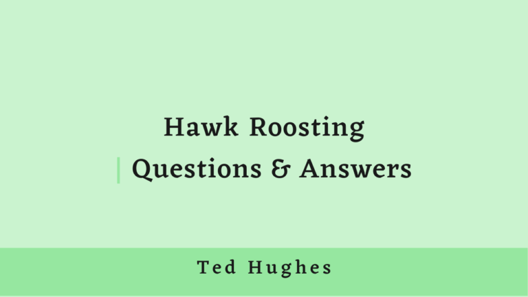 Hawk Roosting Questions and Answers