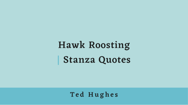 Hawk Roosting Stanza Quotes